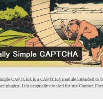 【WordPress】「Really Simple CAPTCHA」プラグインで迷惑メール対策をしよう！
