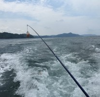 義父の船に乗って、長崎の大島大橋下でアラカブを釣ってきました。