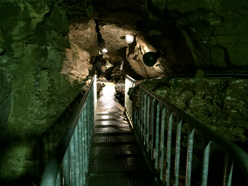 七ツ釜鍾乳洞に行ってきました。そこは自然の冷蔵庫で気持よかった