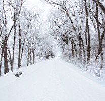 1月23日(土)〜25(月)は西日本で災害レベルの大雪情報。ライフラインのストップに備えろ！